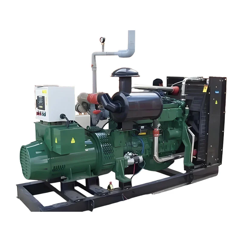 Poliqon üçün Tək Yanacaqlı 500kw Bioqaz Generatoru